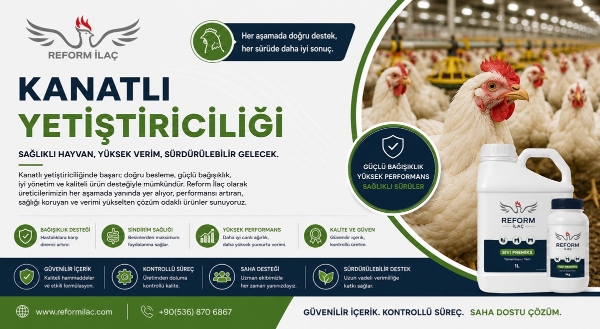Kanatlı Yetiştiriciliği