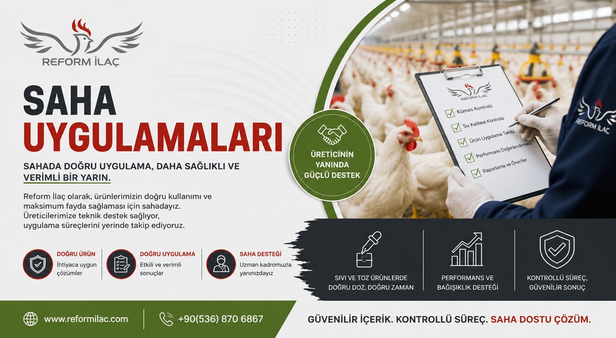 Saha Uygulamaları