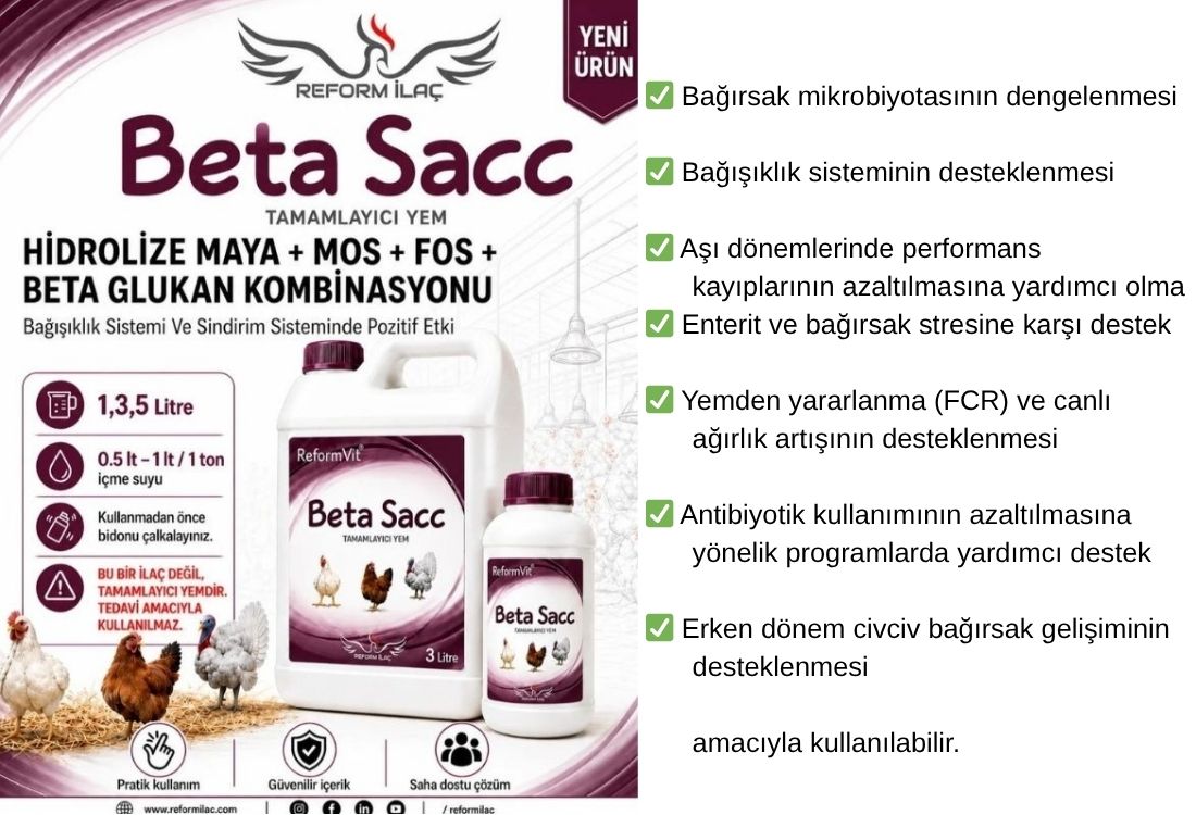 REFORMVİT BETA SACC