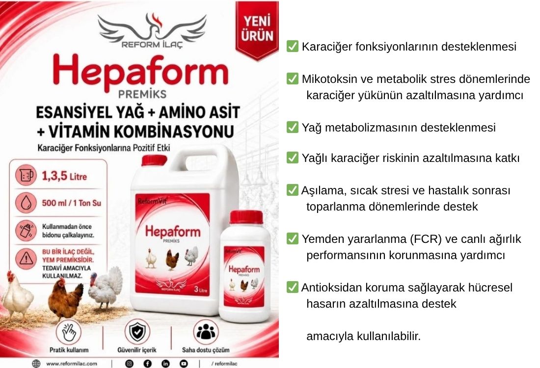 REFORMVİT HEPAFORM PREMİKS
