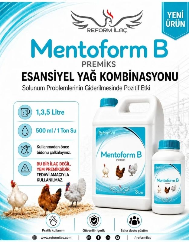 REFORMVİT MENTOFORM-B PREMİKS