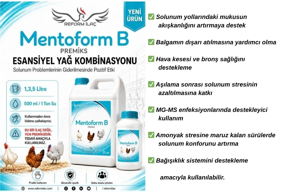 REFORMVİT MENTOFORM-B PREMİKS