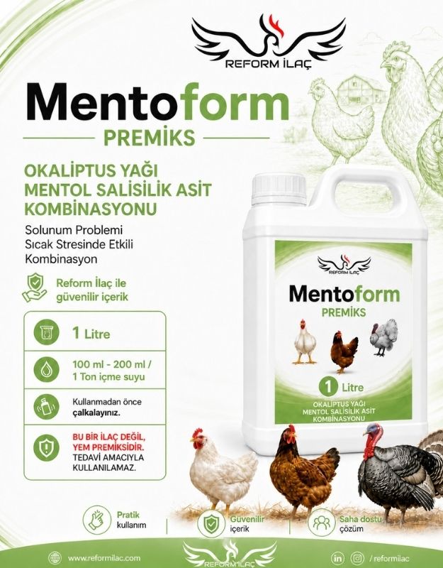 REFORMVİT MENTOFORM PREMİKS