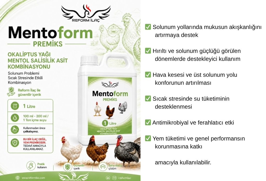 REFORMVİT MENTOFORM PREMİKS