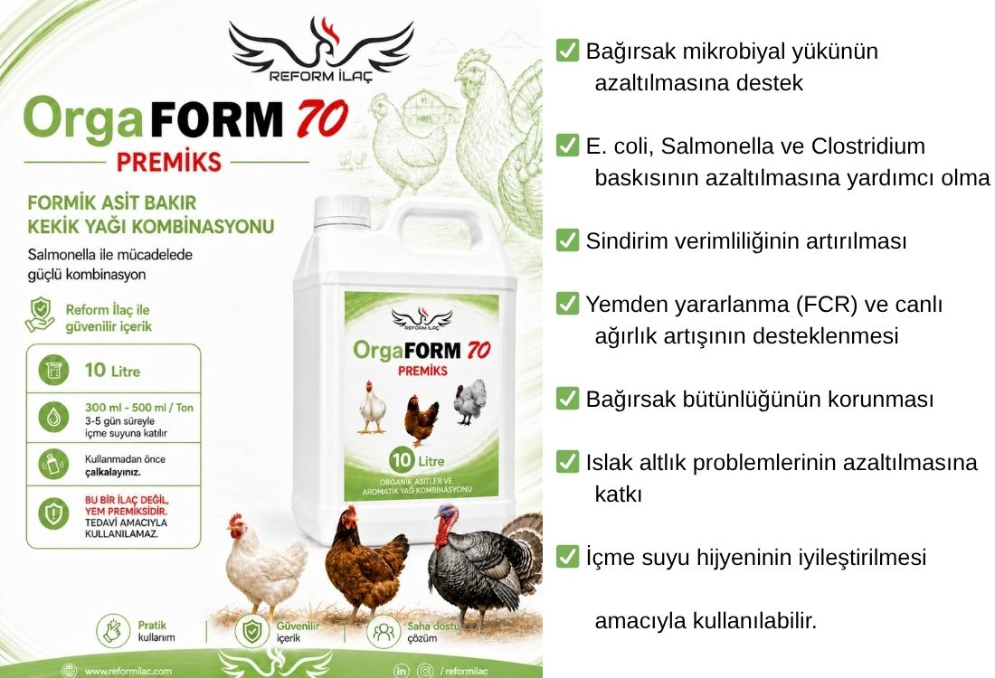 REFORMVİT ORGAFORM 70 PREMİKS