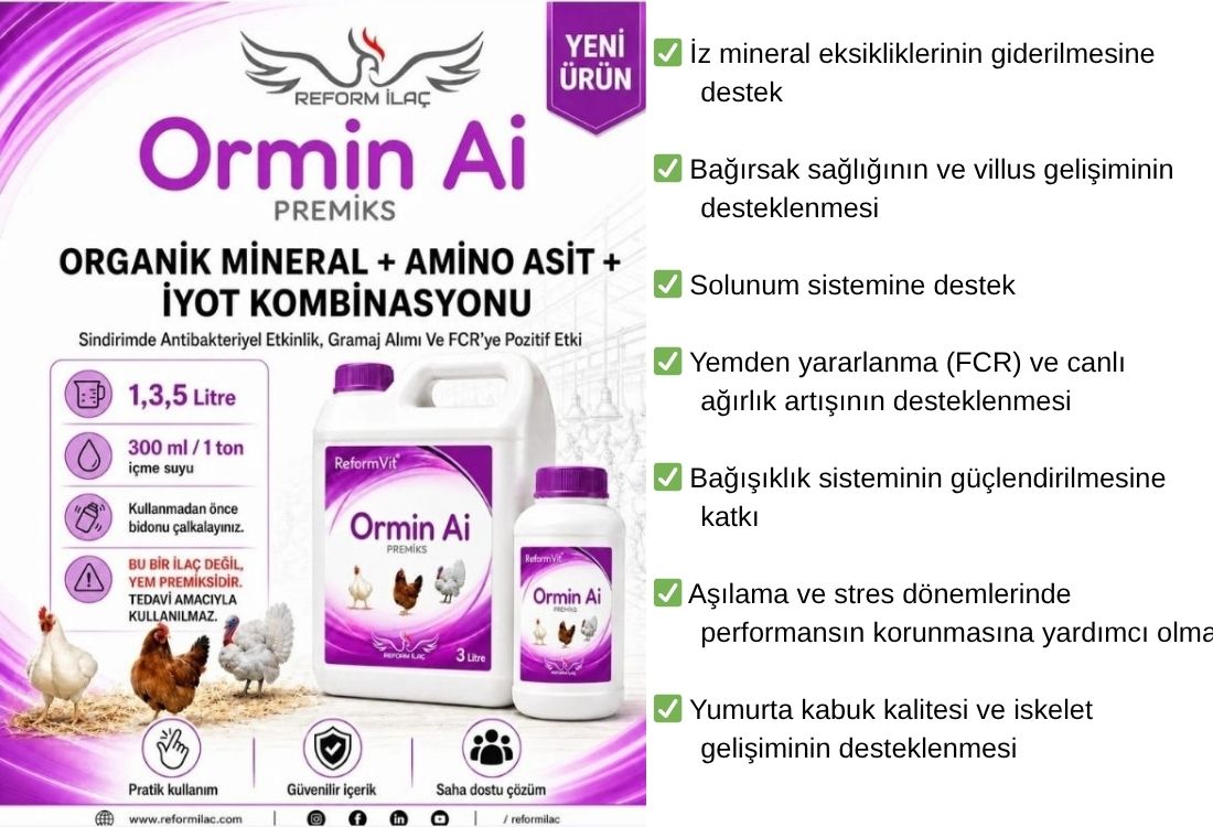 REFORMVİT ORMİN Aİ PREMİKS