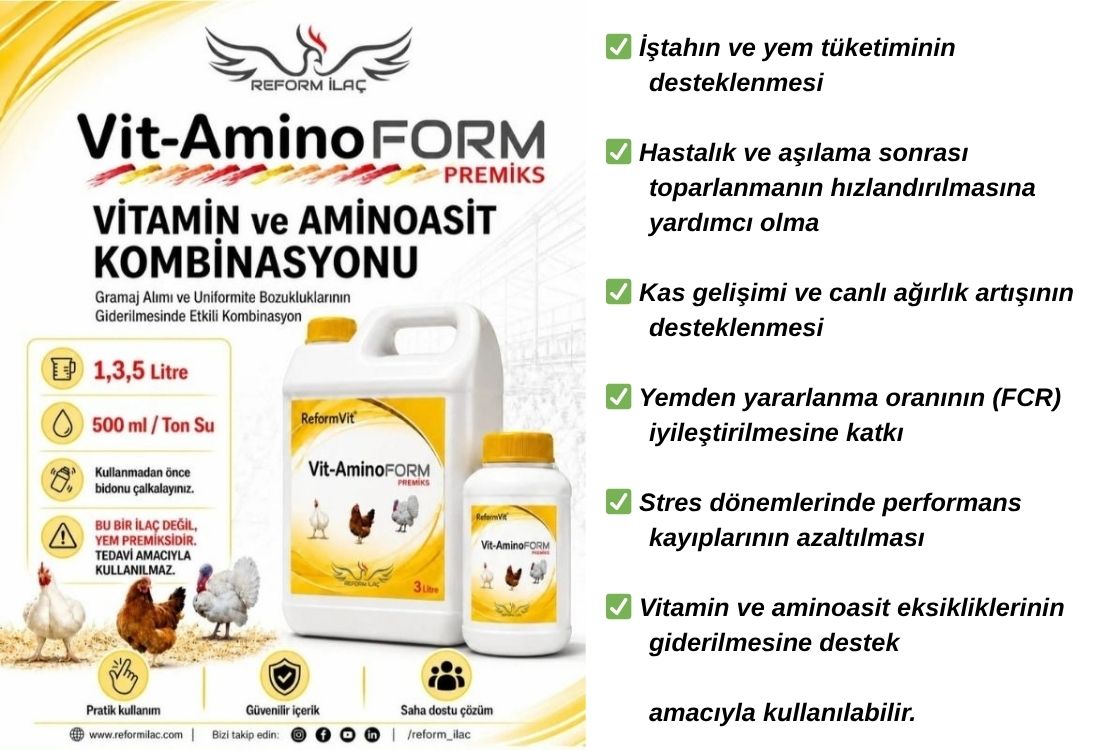 REFROMVİT VİTAMİNOFORM